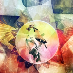 Colorful Texture with Bird Mobile case cover Colorful Texture with Bird Mobile case cover