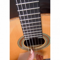 Classic Orange color Guitar String Mobile Case Cover