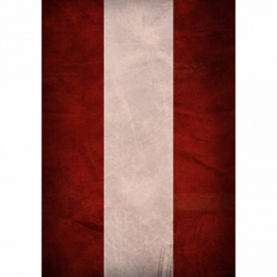 Two Colors Vertical Lines Mobile Case Cover