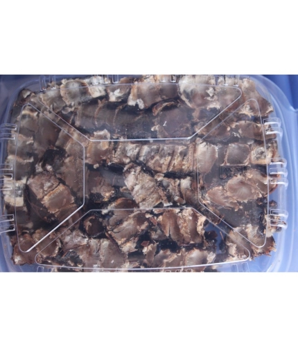 Generic Organic Seedless Tamarind Perfect For Cooking (Brown, 500GM)