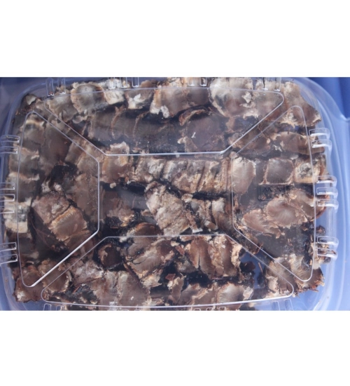 Generic Organic Seedless Tamarind Perfect For Cooking (Brown, 500GM)