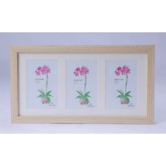 Generic Acrylic Cactus Image Frame (Multicolor)