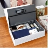 Generic Secret Book Safe with Number Locker