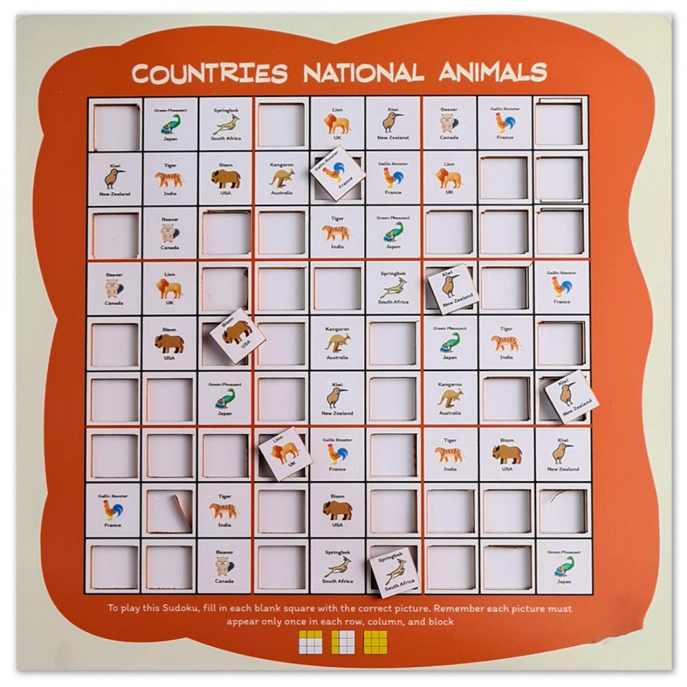 Countries Sudoku Combo (10X10 Inches)