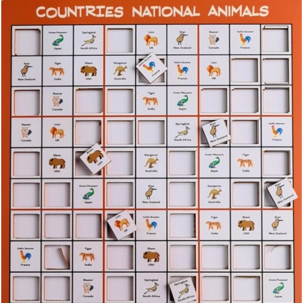 Countries Sudoku Combo (10X10 Inches)