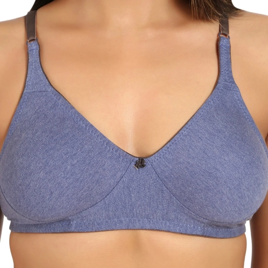 Generic Women's Cotton Blend Non Padded T Shirt Bra (Blue) Generic Women's Cotton Blend Non Padded T Shirt Bra (Blue)