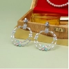 Generic Women's Multi Color Stone Earrings 