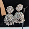Generic Women's Silver Color Oxidised Earrings 