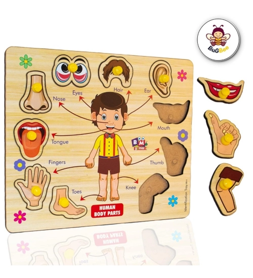 Wooden Puzzle - Body parts | Wood | Educational Toys | 3+ Years