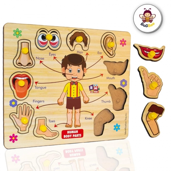 Wooden Puzzle - Body parts | Wood | Educational Toys | 3+ Years