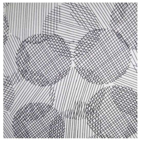 Generic Cotton Printed Curtains (Multicolor) Generic Cotton Printed Curtains (Multicolor)