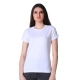 Generic Women's Cotton Blended Solid U-Neck Half Sleeve T-Shirt (Off_White) Generic Women's Cotton Blended Solid U-Neck Half Sleeve T-Shirt (Off_White)