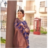 Generic Women's Banarasi Silk Woven Saree With Unstitched Blouse 5.5Mtr (Blue)