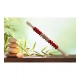 Generic Wood Therapy Massage Scraping Tools (Wood - Red) Generic Wood Therapy Massage Scraping Tools (Wood - Red)