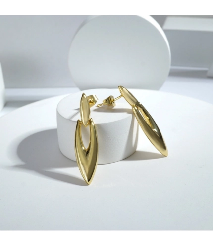 Generic Women's Stainless Steel Gold Earrings (Gold Plated) Generic Women's Stainless Steel Gold Earrings (Gold Plated)