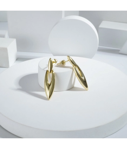 Generic Women's Stainless Steel Gold Earrings (Gold Plated)