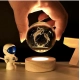Generic Wood 3D Dolphin Crystal Ball Night Light Dolphin Love (Transparent) Generic Wood 3D Dolphin Crystal Ball Night Light Dolphin Love (Transparent)