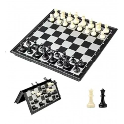 Generic Plastic Chess Board Game For Kids And Adults (Multicolor )