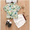 Generic Kid's Lycra Printed Casual wear Shirt And Shorts Set (Green)