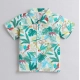 Generic Boy's Lycra Blend Printed Short Sleeve Shirt and Shorts Set (MultiColor) Generic Boy's Lycra Blend Printed Short Sleeve Shirt and Shorts Set (MultiColor)