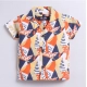 Generic Boy's Lycra Blend Printed Short Sleeve Shirt and Shorts Set (MultiColor)