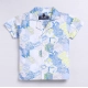Generic Boy's Cotton Blend Printed Short Sleeve Shirt and Shorts Set (MultiColor) Generic Boy's Cotton Blend Printed Short Sleeve Shirt and Shorts Set (MultiColor)