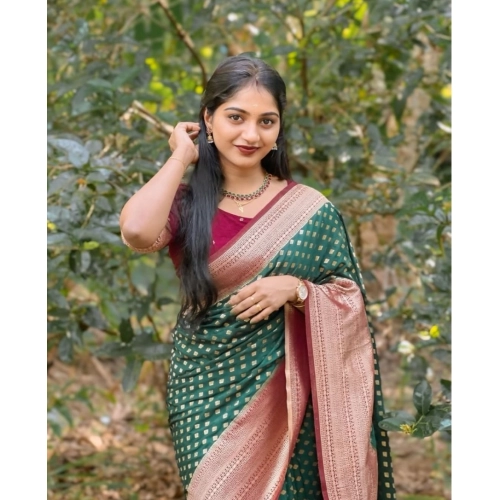 Women's Silk Printed Saree With Unstitched Blouse 5.5Mtr (Green-Red) Women's Silk Printed Saree With Unstitched Blouse 5.5Mtr (Green-Red)