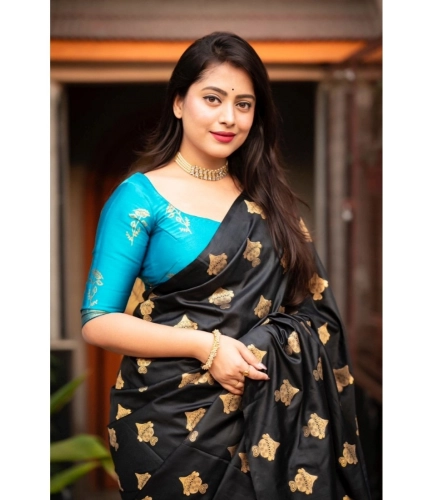 Generic Women's Silk Printed Saree With Unstitched Blouse 5.5Mtr (Sky Blue)