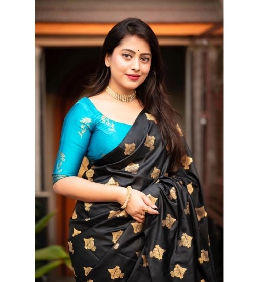 Generic Women's Silk Printed Saree With Unstitched Blouse 5.5Mtr (Sky Blue)