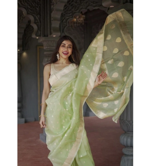 Generic Women's Cotton  Printed Saree With Unstitched Blouse 5.5Mtr (Pista)
