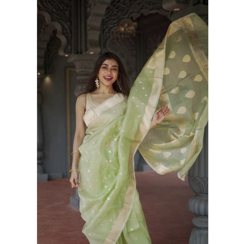 Women's Cotton  Printed Saree With Unstitched Blouse 5.5Mtr (Pista)