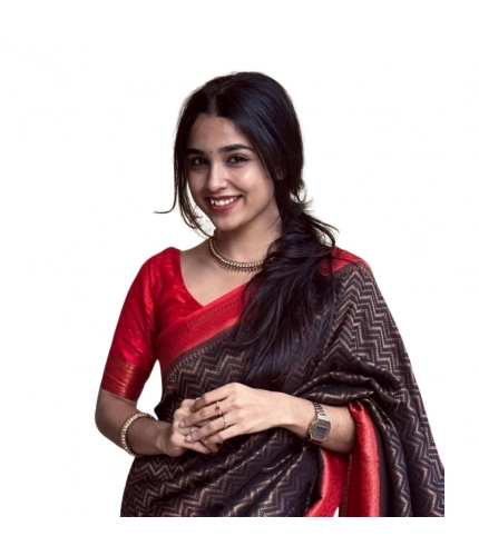 Generic Women's Silk Printed Saree With Unstitched Blouse 5.5Mtr (Brown)