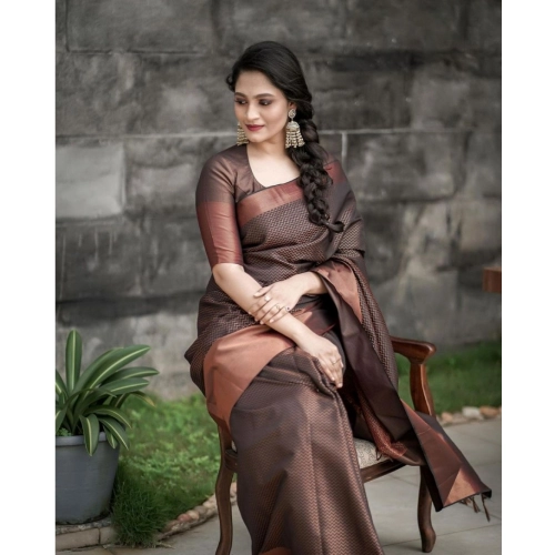 Women's Soft Lichi Silk Printed Saree With Unstitched Blouse 5.5Mtr (Brown) Women's Soft Lichi Silk Printed Saree With Unstitched Blouse 5.5Mtr (Brown)