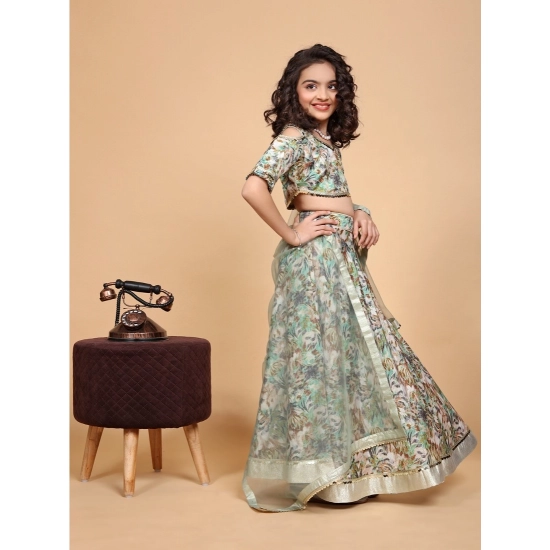 Generic Girl's Chiffon Printed Lehenga Choli Set (Green) Generic Girl's Chiffon Printed Lehenga Choli Set (Green)