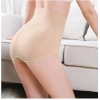 Generic Women's Cotton Self Design Western Wear Body Shaper Brief (Skin)