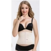 Generic Women's Lycra Blend Solid Western Wear Tummy Body Shaper (Beige)