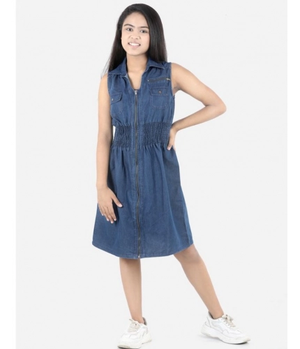 Generic Girl's Denim Solid Sleeveless Shirt collar Dress (Blue)