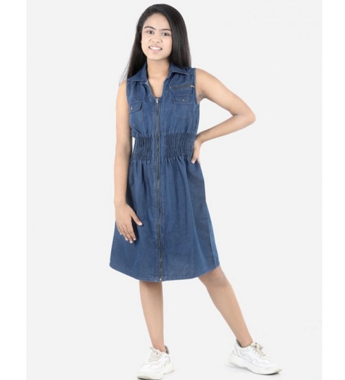 Generic Girl's Denim Solid Sleeveless Shirt collar Dress (Blue)