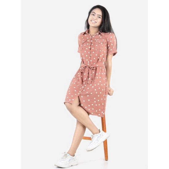 Generic Girl's Polyester Printed Short Sleeve Shirt collar Dress (Brown)