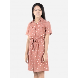 Generic Girl's Polyester Printed Short Sleeve Shirt collar Dress (Brown)