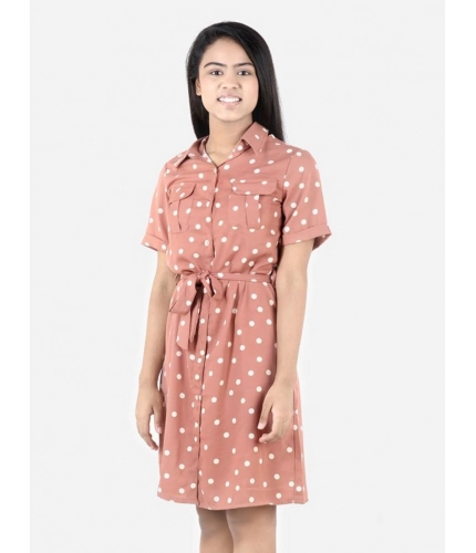 Generic Girl's Polyester Printed Short Sleeve Shirt collar Dress (Brown)