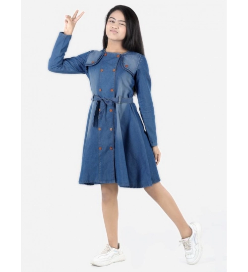 Generic Girl's Denim Solid Long Sleeve Round Neck Dress (Blue)