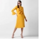 Generic Women's Polyester Ruffled Close Neck Long Sleeves Dress (Yellow) Generic Women's Polyester Ruffled Close Neck Long Sleeves Dress (Yellow)