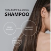 Generic Unisex Protein Shea Butter Shampoo (350 ML) Generic Unisex Protein Shea Butter Shampoo (350 ML)