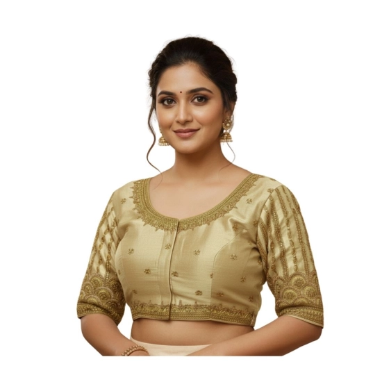 Generic Women's Phantom Silk Embroidered Designer Neck Padded Blouse (Beige 38 Ready (Alterable up to 42) Generic Women's Phantom Silk Embroidered Designer Neck Padded Blouse (Beige 38 Ready (Alterable up to 42)