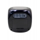 Generic Time Display with Voice Projection And Wake-Up Alarm Clock (Color: Black)