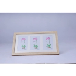 Generic Acrylic Cactus Image Frame (Multicolor)