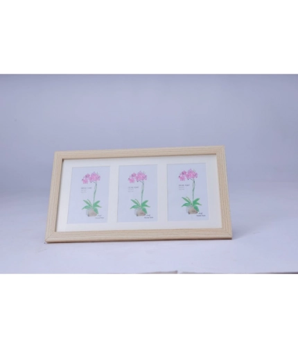 Generic Acrylic Cactus Image Frame (Multicolor)