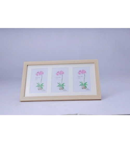 Generic Acrylic Cactus Image Frame (Multicolor)
