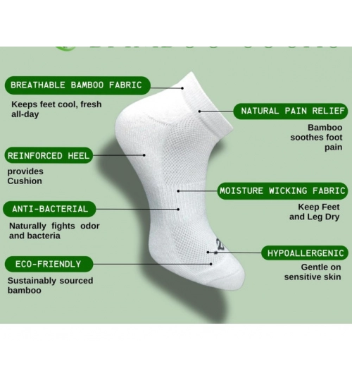 Generic 3_Pair Set Unisex Casual Cotton Printed Low Cut Socks (Multicolor)